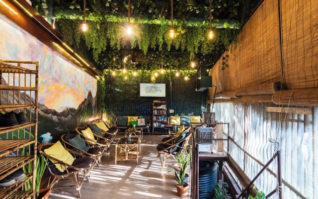 Forrest Hostels