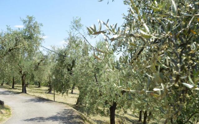 Il Podere di Tacito