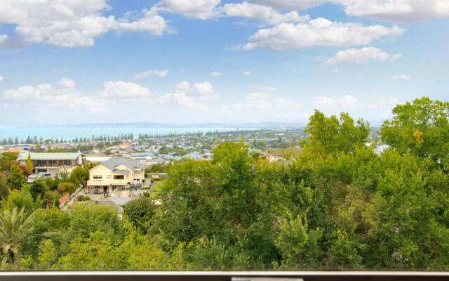 Views on Colenso - Napier Holiday Home