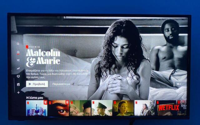 The only luxurious apartment in the center of town