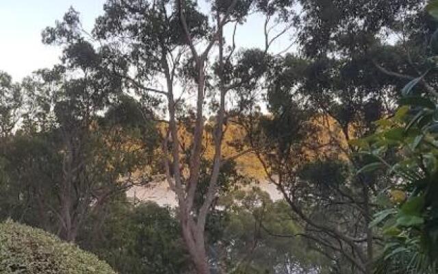 Mt Lofty Botanic Garden Studio