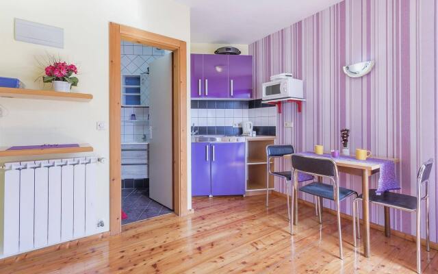 Apartments Antic