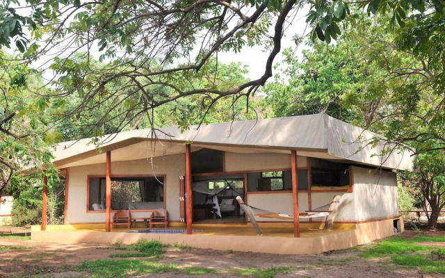 Potato Bush Camp