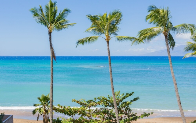 Sands Of Kahana 231 - One Bedroom Condo