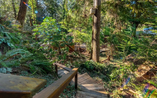 The Tree House Cottage