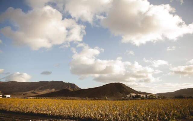 Casas Pilar, Aurora y Tarabilla en finca ecológica