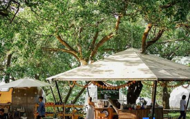 Tropical EGlamping