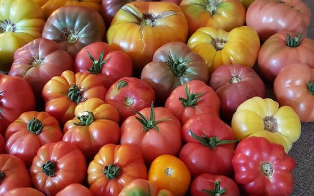 Maison d'hotes de Charme Les Bruhasses