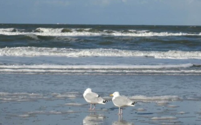 Ringhotel Residenz Wittmund