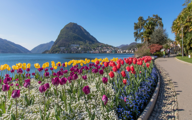 Lugano Terrazzo