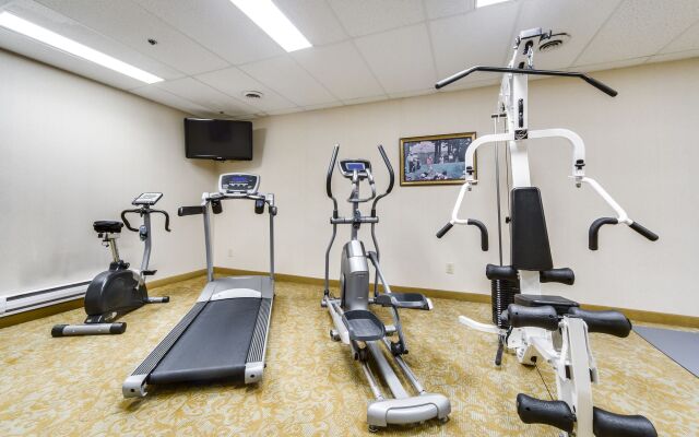 Monte Carlo Inn - Brampton Suites