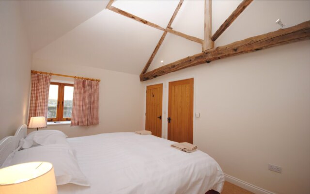 Old Root House, Lavant 174086