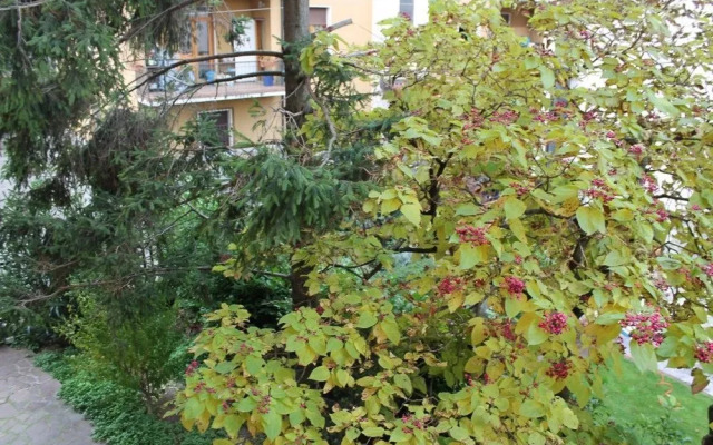 Desenzanoloft – Smile on the Lake