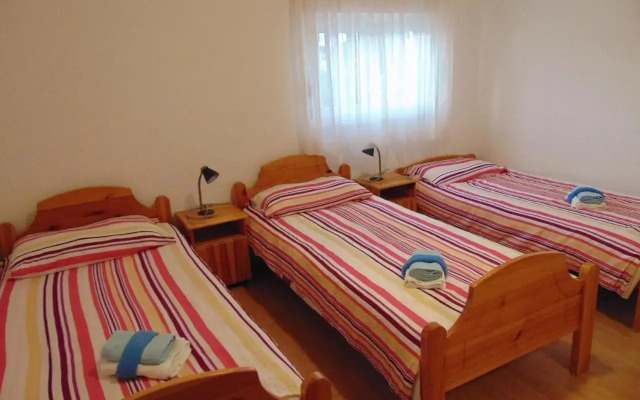 Apartments Borozan