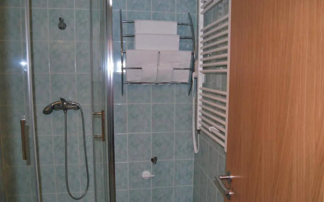 Apartment Hybernska