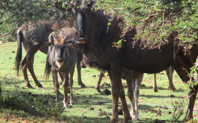 Valley Bushveld Country Lodge