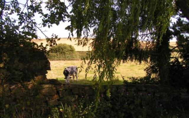 The Pines at Eastleigh B&B