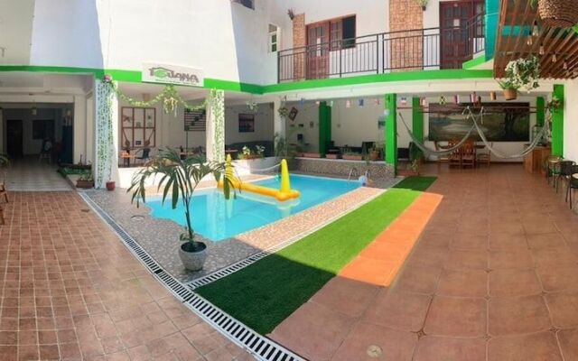 Iguana Haus