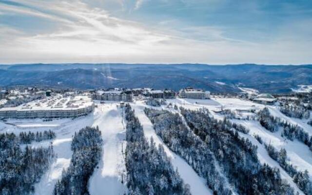 Snowshoe Condo Unit 333
