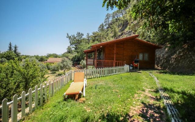 Cirali Villa Zeytin