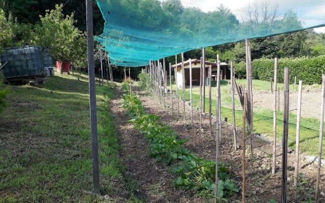 Agriturismo Fattoria Sequoia