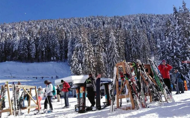 Sunny studio apartment - few steps from Gondola