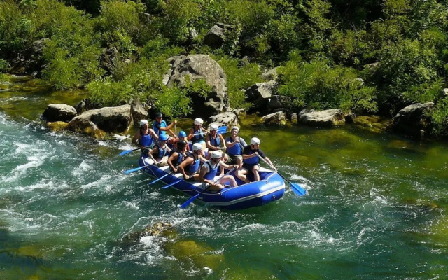 Sunflower House With a Pool and Large Garden