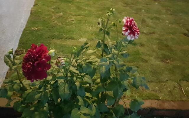 Suman Cottage And Bungalow