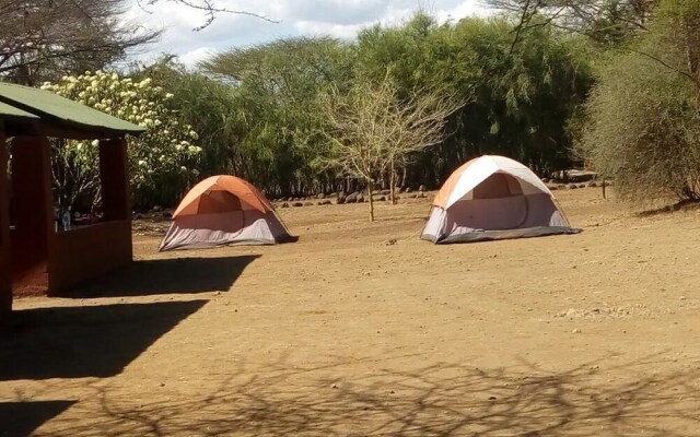 Snake Park Campsite