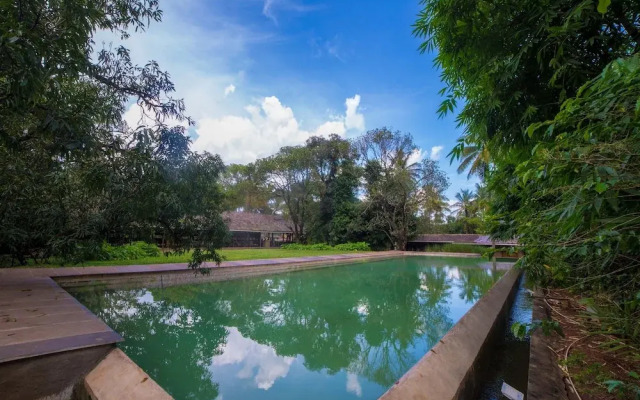 The Orchard Resort