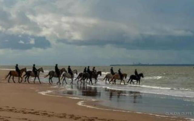 Le Cheval Autrement
