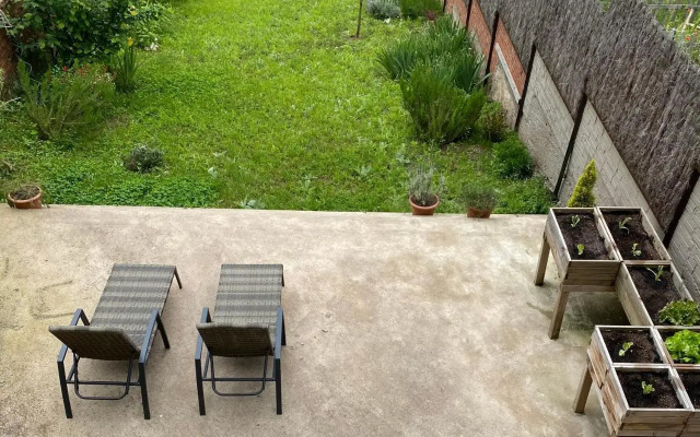 El niu del volcà