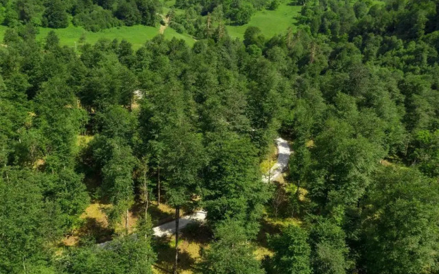 Bakuriani Crystal Resort Apartment B202