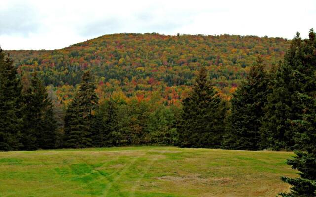 Cajun Cedar Log Cottages