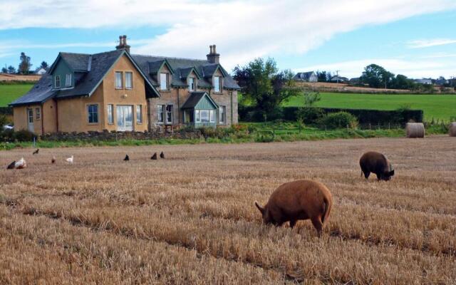 Netherton Farm B&B
