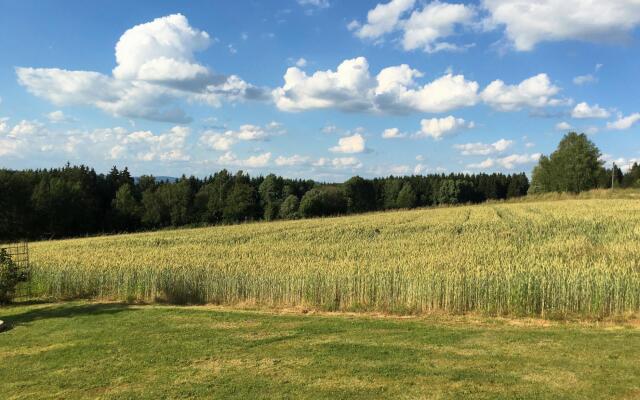 Lively Apartment With Sauna in Schonsee