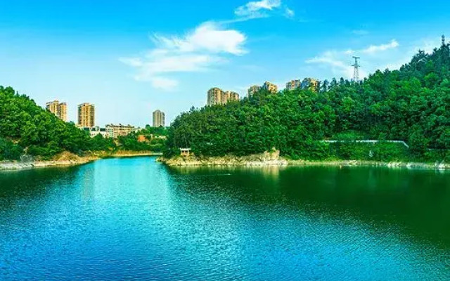 Xinhu B&B