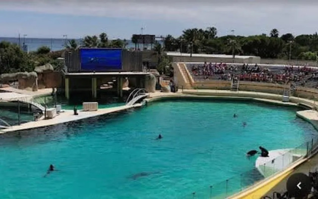 Apartment Near the Beaches Right in the Center Comfortable