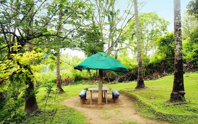 Jungle Paradise Farm And Guest House