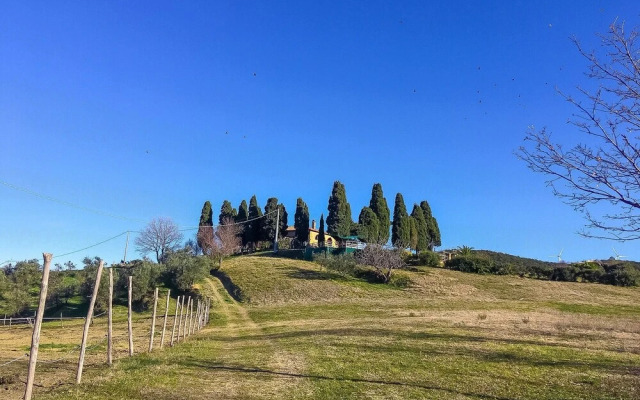 Le Vignacce