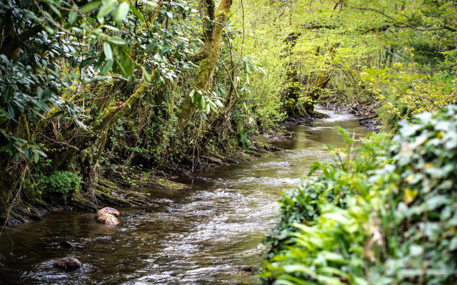 Tŷ Mawr Country Hotel