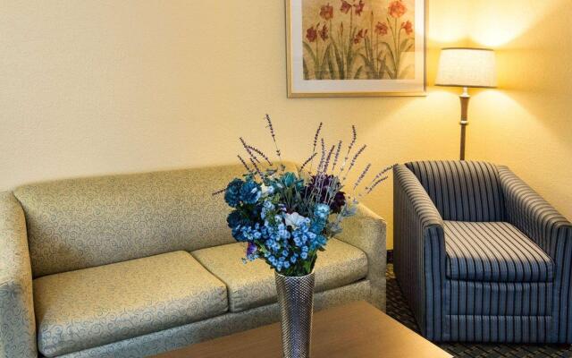 Comfort Suites Nacogdoches