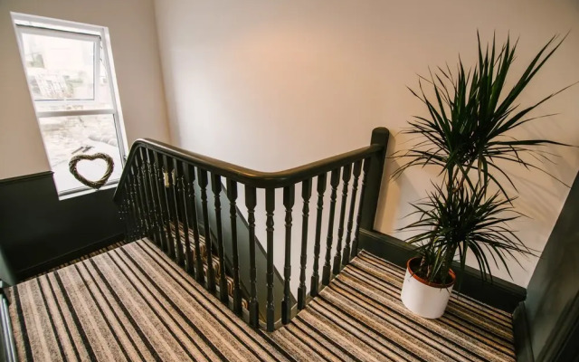 Habita Property Spacious Central Plymouth House Sleeps 8