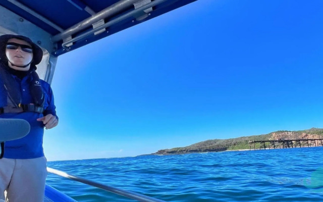 Illaroo at Catherine Hill Bay