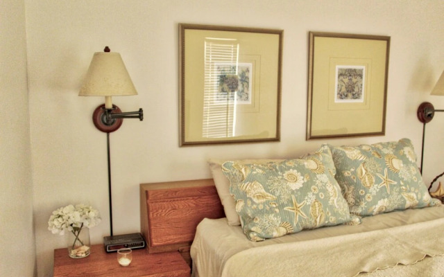 Premier Pass-a-grille Beachside Condo (108-14)