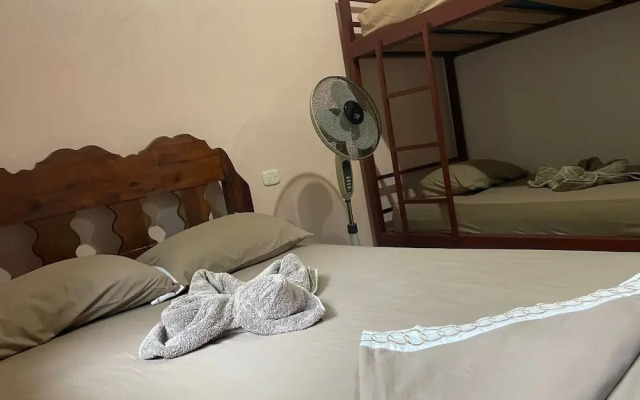 Apartamentos Caligo de Osa