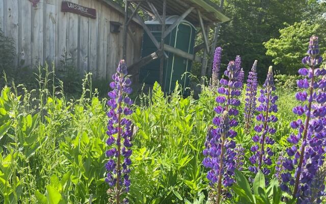 Streeter Mountain Farm