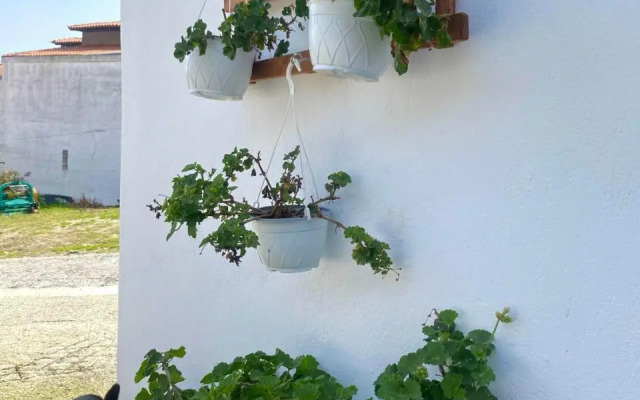 The Garden Studio