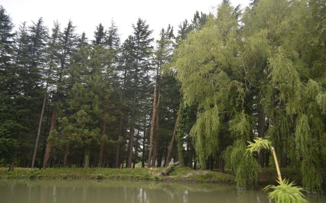 Hostel Botanical Garden