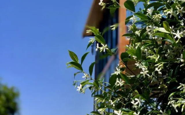 Midie Huawu Guesthouse